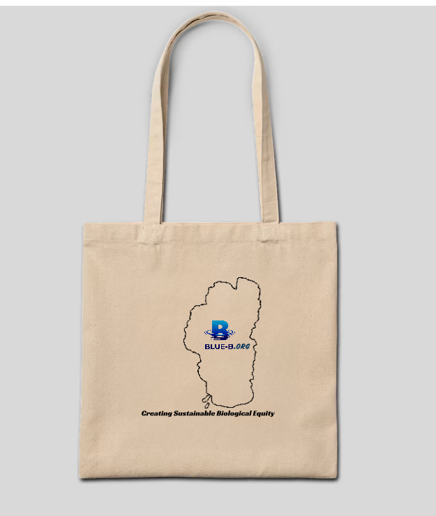 Sustainable Shopping Bag