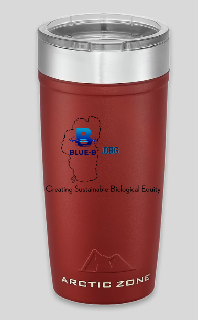 Hot or Cold Stainless Tumbler